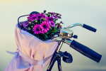 cesta de flores urgentes a domicilio, cesta de flores urgentes para el día de la madre, floristería online, cesta de flores urgentes para mi abuela